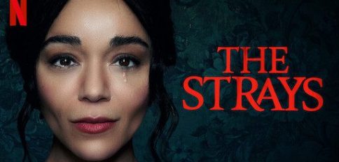 the strays poster